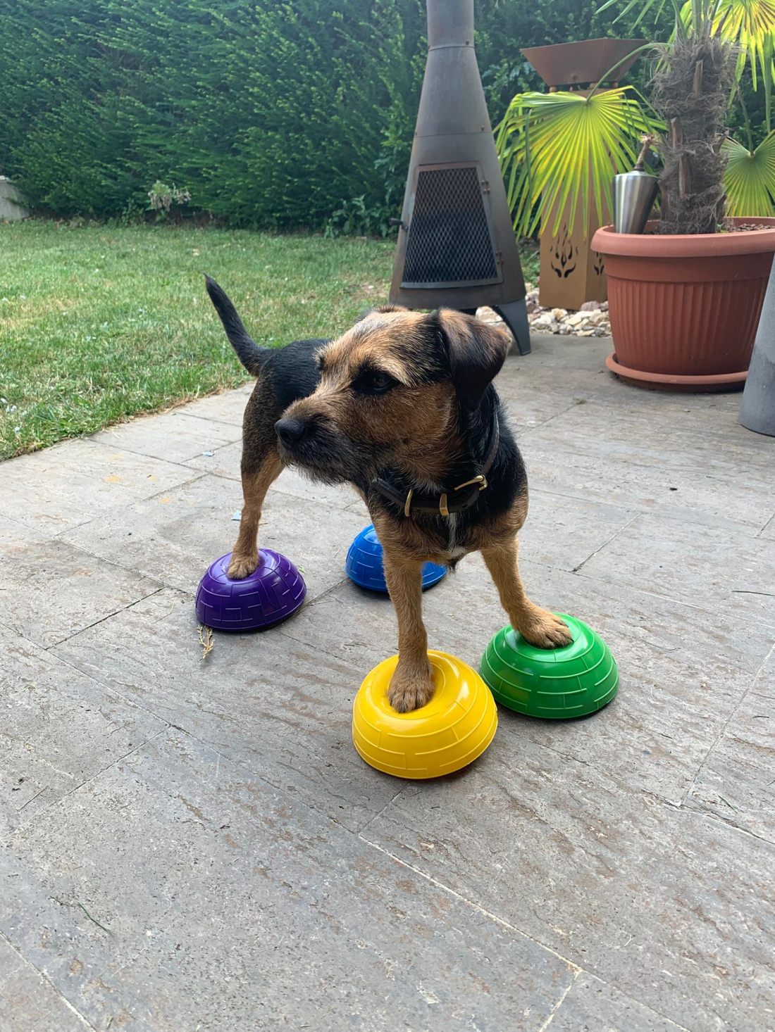 Gerätetraining